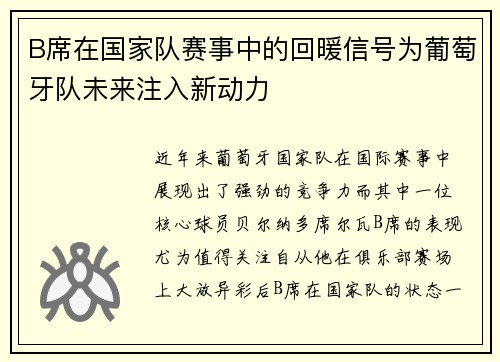 B席在国家队赛事中的回暖信号为葡萄牙队未来注入新动力 B席在国家队赛事中的回暖信号为葡萄牙队未来注入新动力